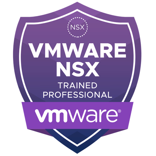 VMware NSX Professional